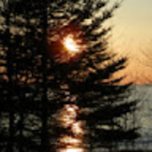 Meet your Posher, Pretty nature